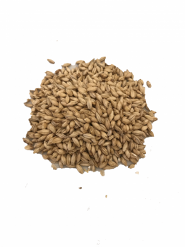 Belgian Pale Malt