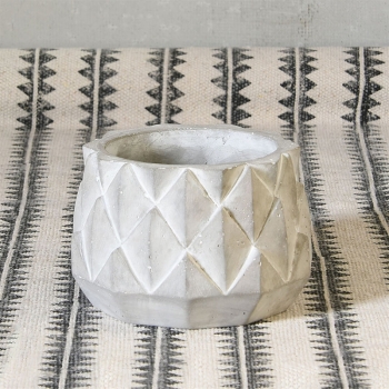 Pineapple Sago Cachepot, Assorted Sizes