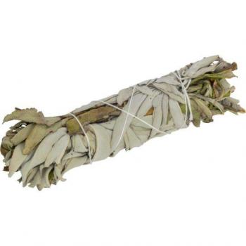 California White Sage