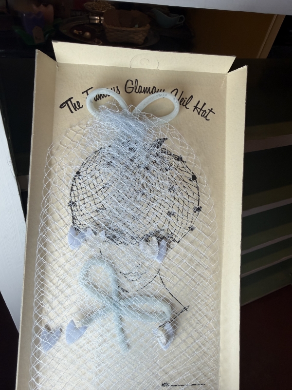 Something blue vintage bird cage veil