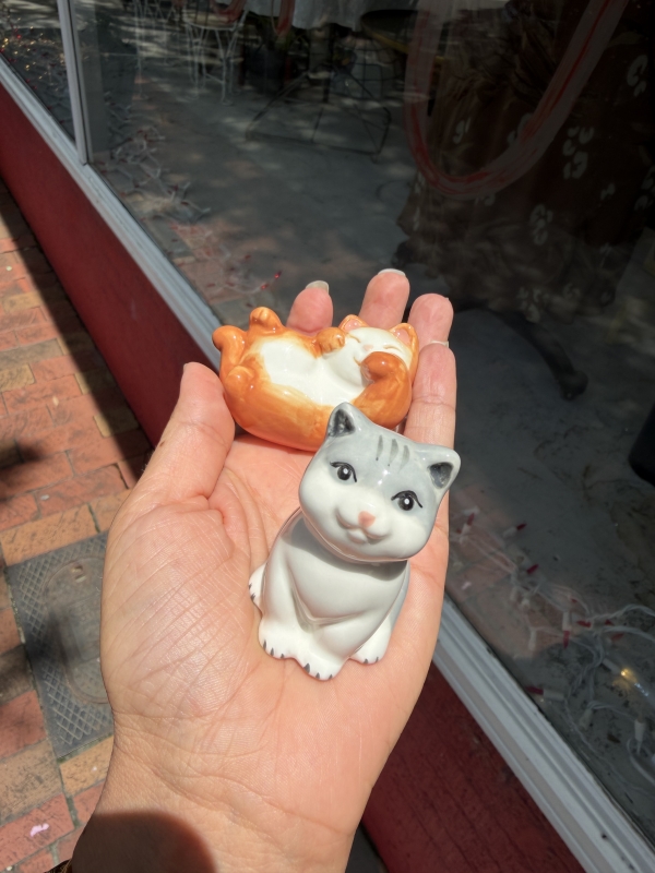 Cat salt and pepper shaker