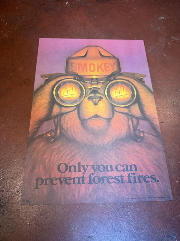 Smokey the bear cardstock 