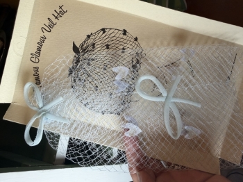 Something blue vintage bird cage veil