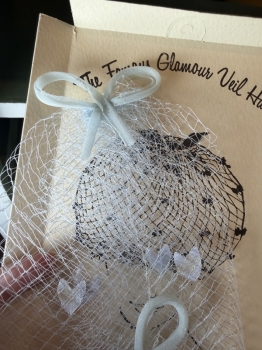 Something blue vintage bird cage veil