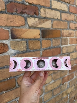 Start your garden seed pods