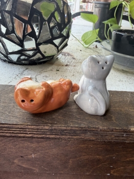 Cat salt and pepper shaker