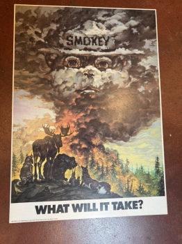 Up in smoke Smokey the Bear 