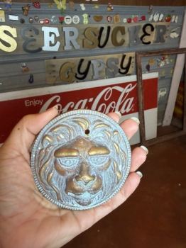 Brass lion door decor