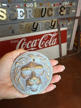 Brass lion door decor