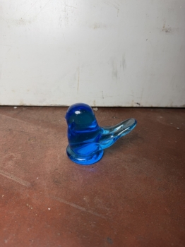 Beautiful blue bird 