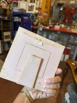Unique fish frame