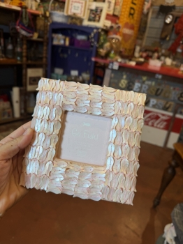 Unique fish frame