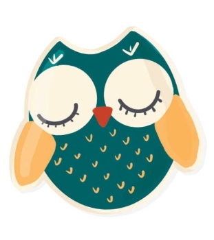 Petite Artisan - Owl Trinket Dish Kids Air Dry Clay Kit- All in One Activity