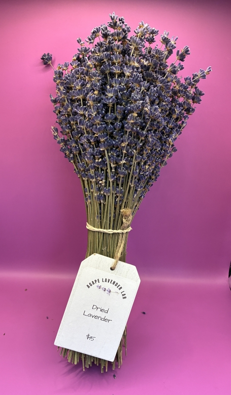Dried Lavender