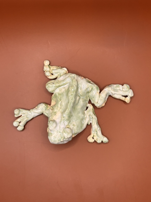 Frog Decor