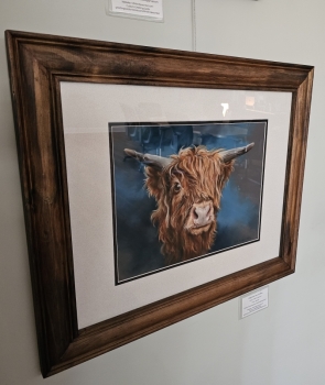 Highland Cow On Blue - MM Anderson