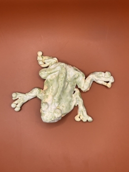 Frog Decor