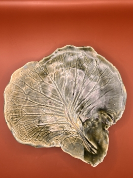 Cabbage Leaf Plates