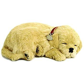 Perfect Petzzz - 10 Breeds to Collect