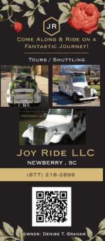 Joy Ride LLC