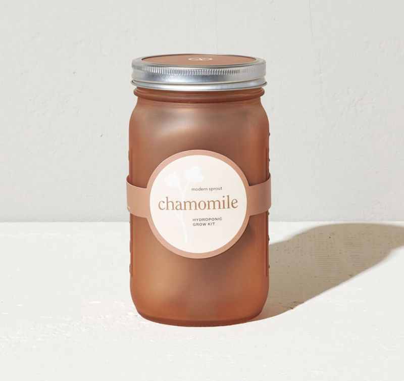 Modern Sprout Garden Jar Grow Kit - Chamomile