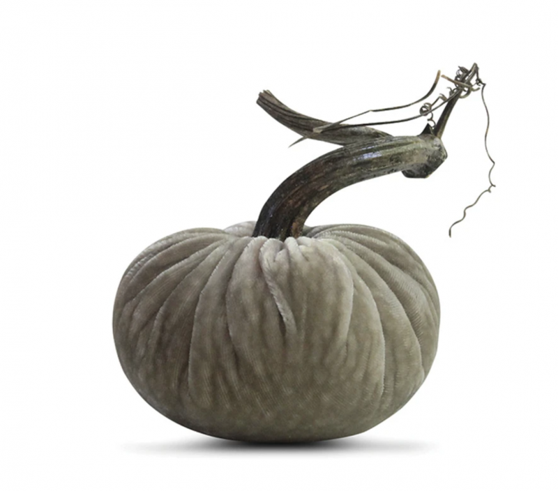 Velvet Plush Pumpkin - Putty
