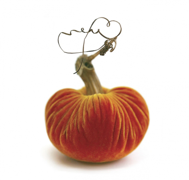 Velvet Plush Pumpkin - Carrot