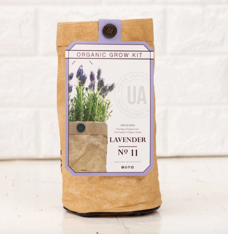 Lavender Grow Kit
