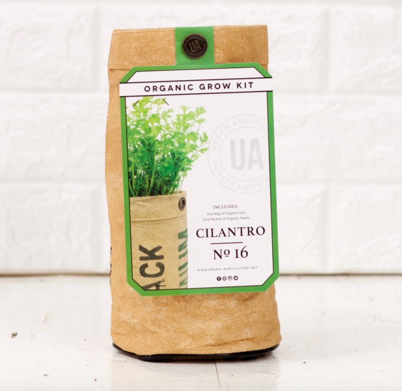 Cilantro Grow Kit