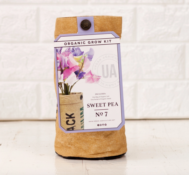 Sweet Pea Grow Kit