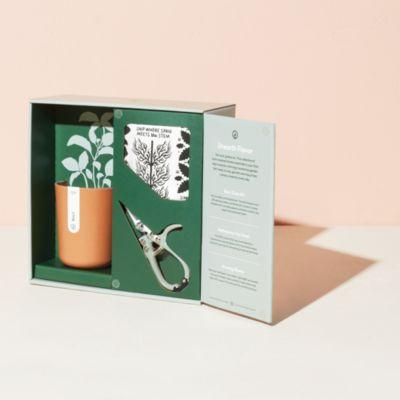 Modern Sprout Harvest Gift Set