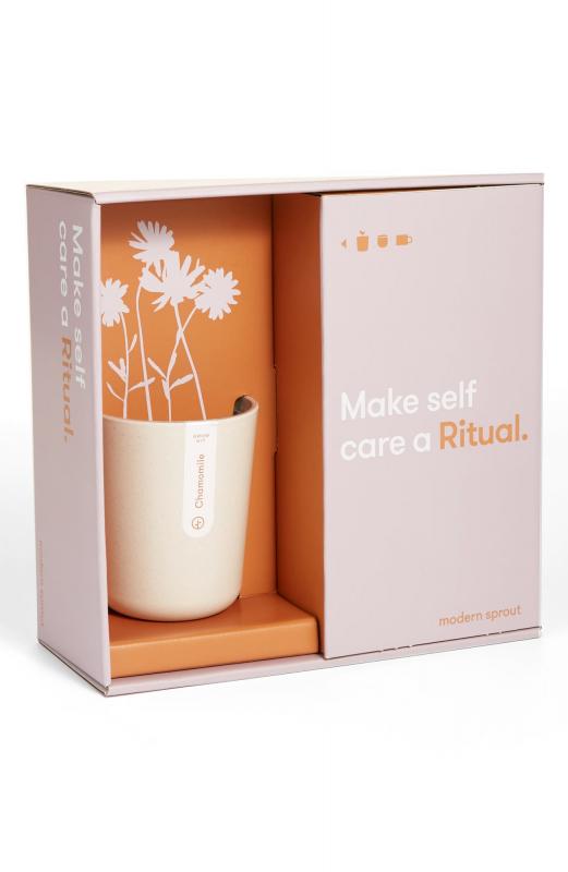 Modern Sprout Ritual Tea Gift Set