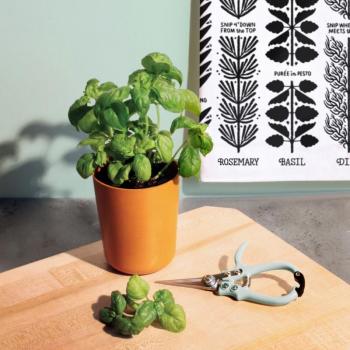 Modern Sprout Harvest Gift Set