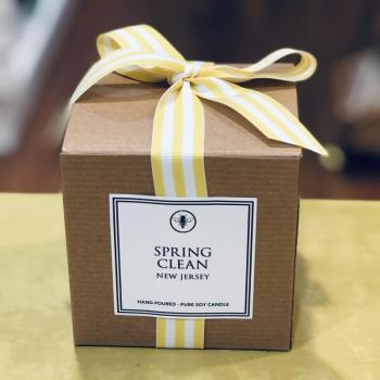 Spring Clean Soy Candle (Lemon Zest & Vanilla)