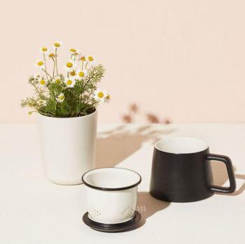 Modern Sprout Ritual Tea Gift Set