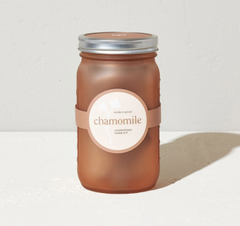 Modern Sprout Garden Jar Grow Kit - Chamomile