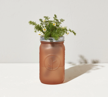 Modern Sprout Garden Jar Grow Kit - Chamomile