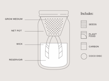 Modern Sprout Garden Jar Grow Kit - Chamomile