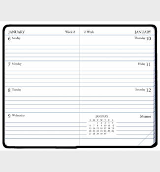 Payne Publishers Continental Mini Weekly Calendar 2.75 x 4.125