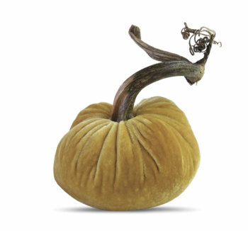 Velvet Plush Pumpkin - Butter