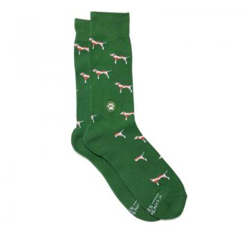 Socks That Protect Dogs