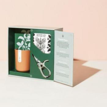 Modern Sprout Harvest Gift Set