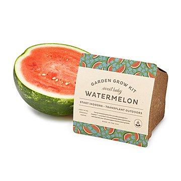 Watermelon Garden Drop-in Kit