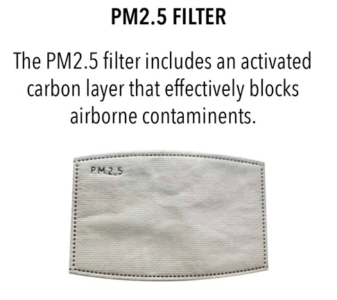 PM2.5 Filter for Masks