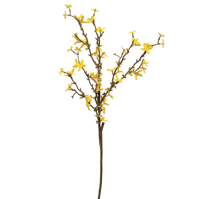 Yellow Forsythia Spray 13