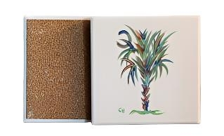 Palmetto Coaster