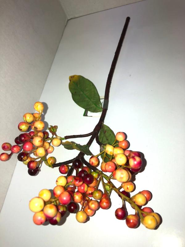RED BERRIES STEM