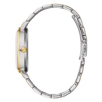 Two-Tone Men's Watch 45A149