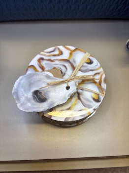 White Oyster Enamel Coaster Set