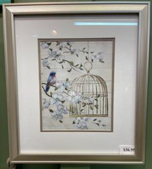 Bird Cage Framed Print